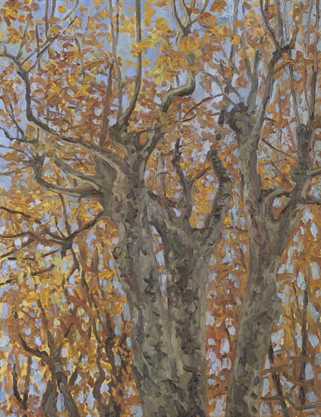  Hans_Rath_Platanen im November_116x89cm_Oel_Lwd_2007   