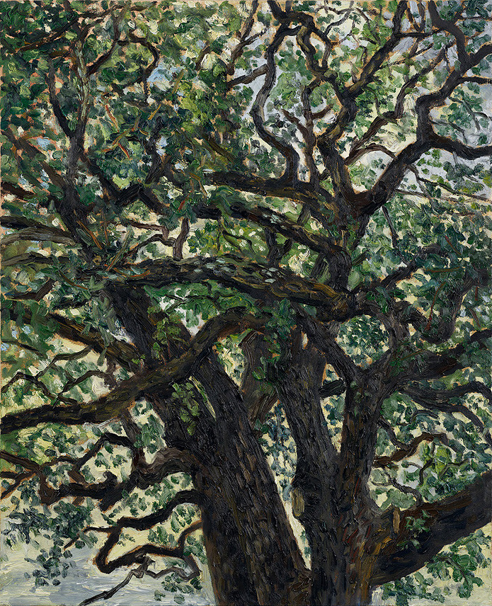  Hans_Rath_Eiche_100x81cm_Oel_Lwd_2014 