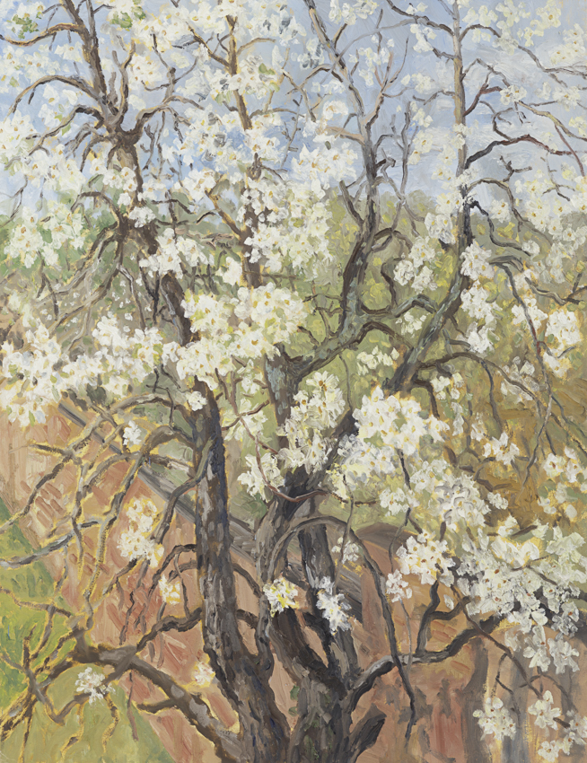  Hans_Rath_Blühender_Birnbaum_116x89cm_Oel_Lwd_2012  
