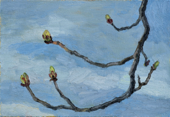  Hans_Rath_18_03_2005_24x35cm_Oel_Lwd_2005 