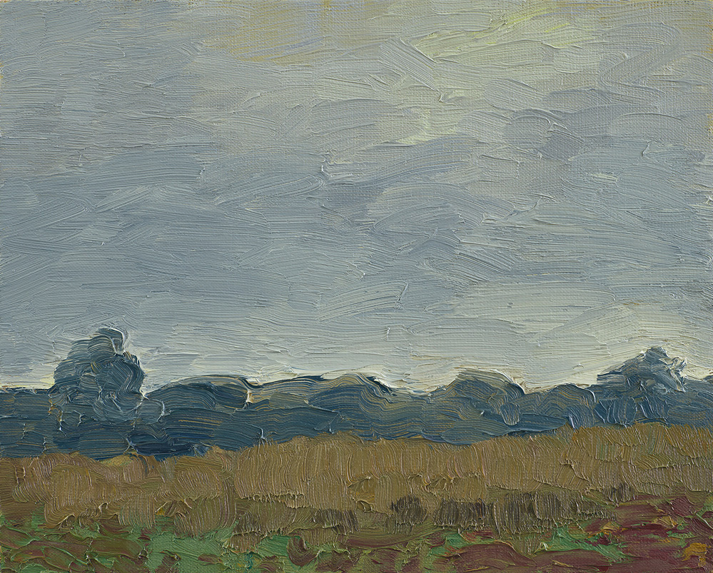  Hans_Rath_05_01_08_33x41cm_Oel_Lwd_2008 