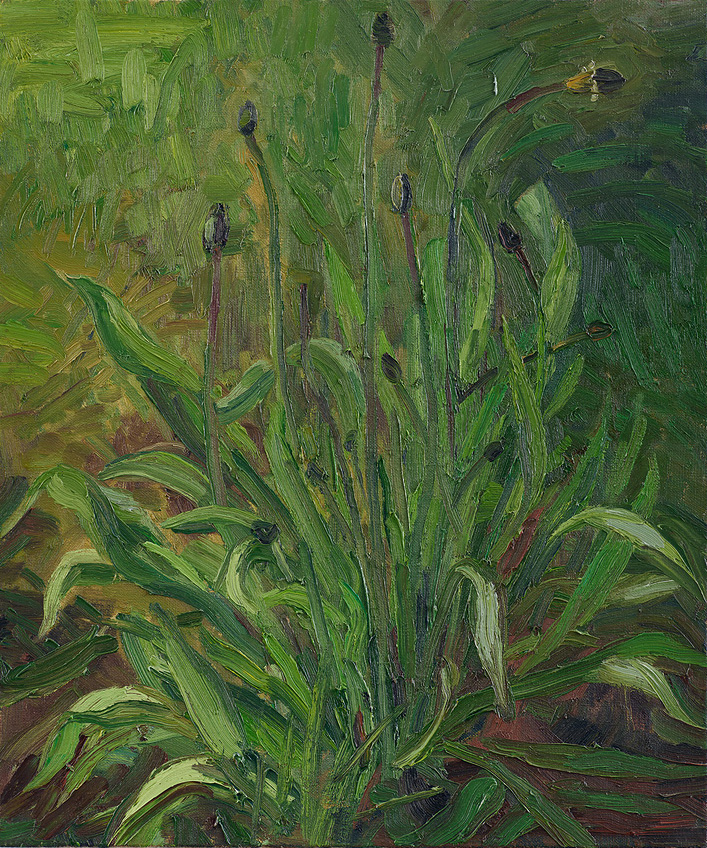  Hans_Rath_Spitzwegerich_55x46cm_Oel_Lwd_2002 