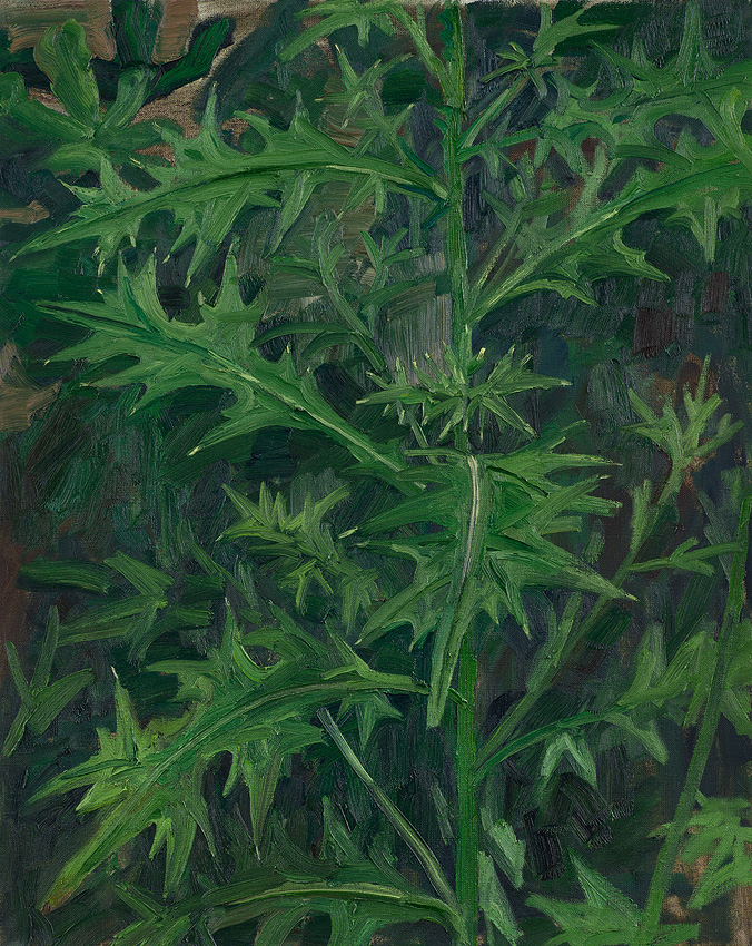  Hans_Rath_Grosse_Distel_81x65cm_Oel_Lwd_2001 