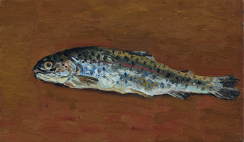  Hans_Rath_Fisch_27x46cm_Oel_Lwd_2009 